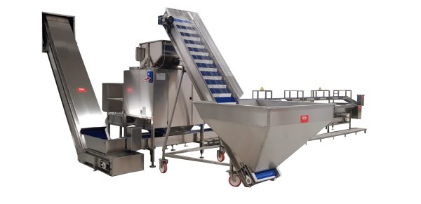 <H6>LINEA IV GAMMA</H6> - immagine 2
