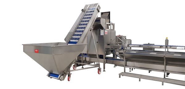 <H6>LINEA IV GAMMA</H6> - immagine 3