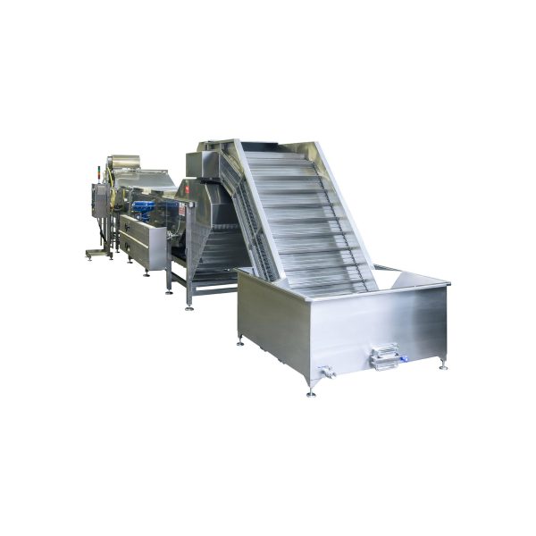 <H6>CUOCITORE LINEARE CONTINUO PER CARCIOFI</H6> Mod. CLV 20 – CLV 30 – CLV 40 - immagine 4