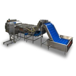<H6>CUOCITORE LINEARE CONTINUO PER VEGETALI</H6> Mod. CLV 10